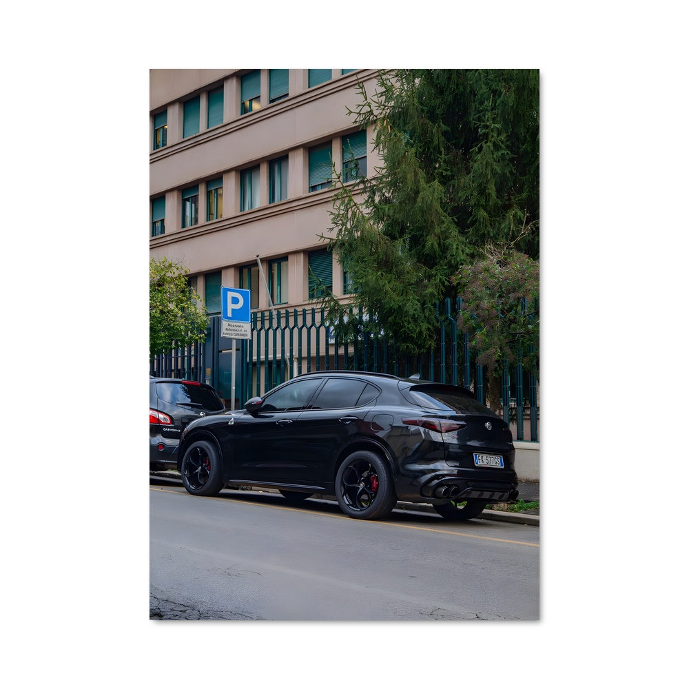 Poster Stelvio quadrifoglio